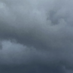 Manuel Caroca Castilla