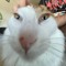 qumpink