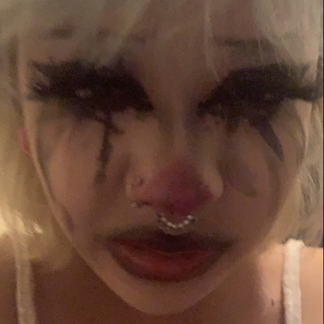 k. stella’s avatar