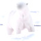 polar digital