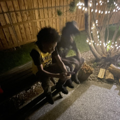 yungkam2x