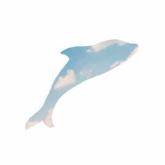 airdolphin