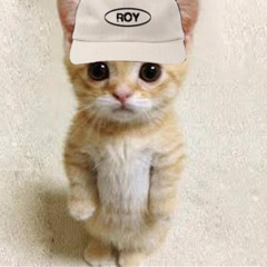 nsqkk