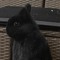 tharmometer
