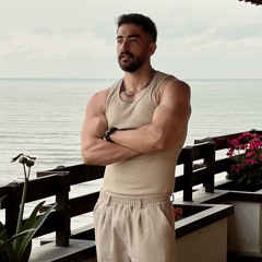 alireza torabi