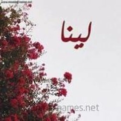 Lena Ashraf