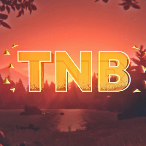 TheNikitaBush’s avatar