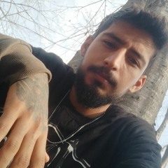 amir