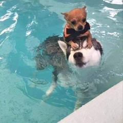ㅁ