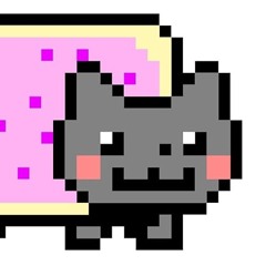 cat with a question mark