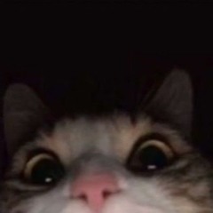 yes