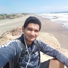 Daniel E. Solórzano Picado