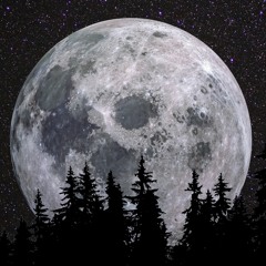 Look_At_The_Moon
