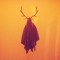 GhostCode