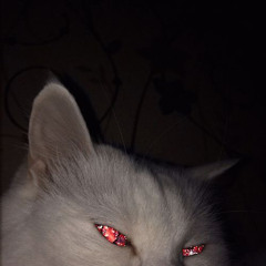 𝖒𝖊𝖑𝖔
