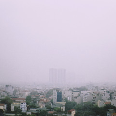Trần Phi Lâm