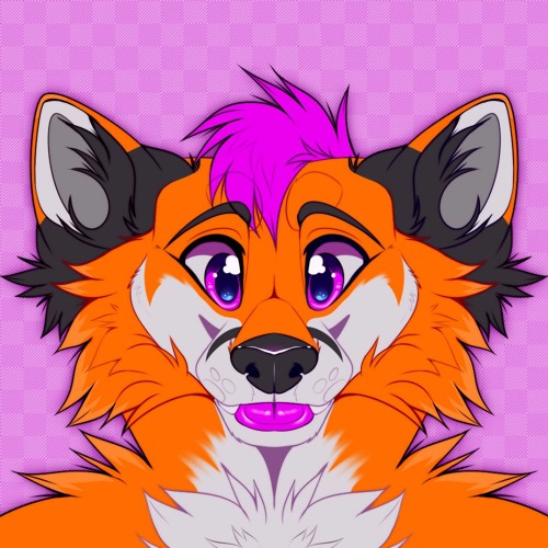 XiyolFox’s avatar