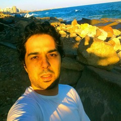 Hesham M Elmasry