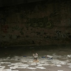 PIP