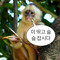 이수연