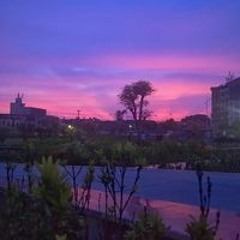 Tr Nguyễn