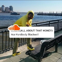 Ace Hardbody Blackwell