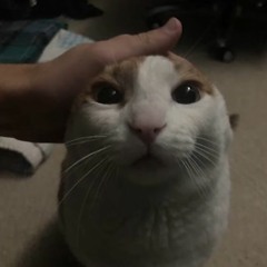 mattano