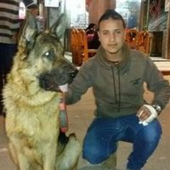 مين بيتعلم ببلاش