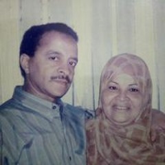 عادل سيد عبد الكريم