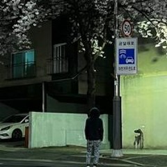 홍준