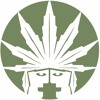 olkpeace