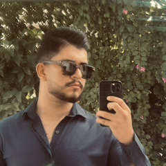 mohammad hossein behrouz