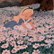 poppy