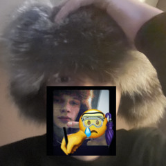 pingwy