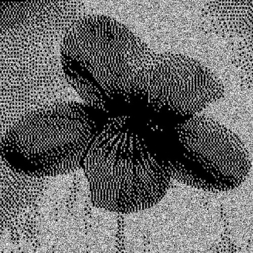 Stream violet music | Listen to songs, albums, playlists for free on ...