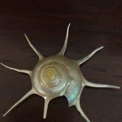 girlinblue72