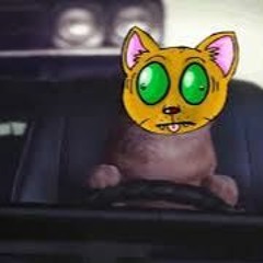 TheDinguss