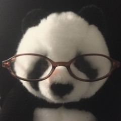 🐼