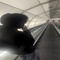 trapadrink