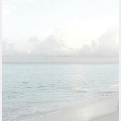 ديمة العتيبي