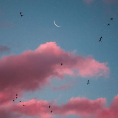 Rachel Heather Karmel