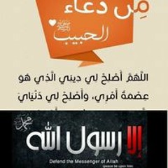 Habeba Tarek