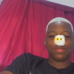 rlk_galeba