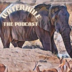 Waterhole The podcast