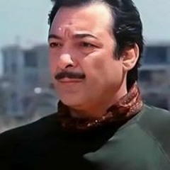 Waleed Abd-Elfatah