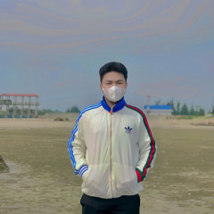 Hoang Phan
