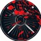 )SQUISHY RECORDS(