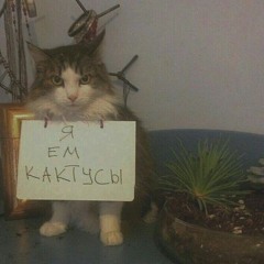 Секс МашЫна