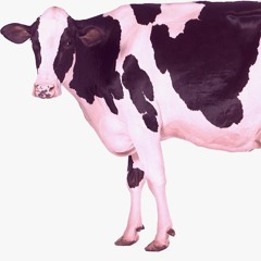 Жорж Тувумба и бесплатный массаж