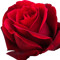 Boushra_cleo123